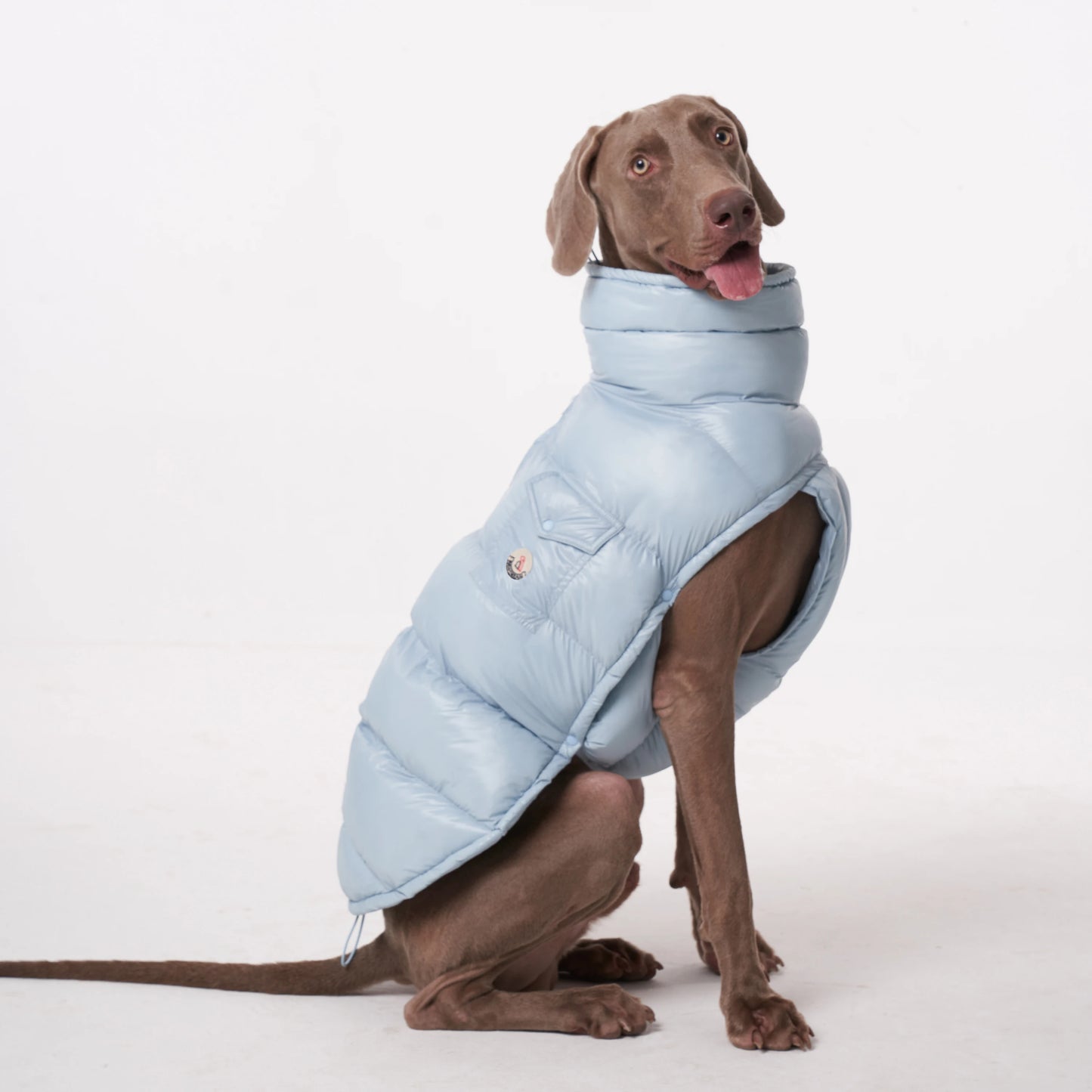 Doggy Raincoat