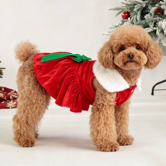 Doggy Christmas Dress