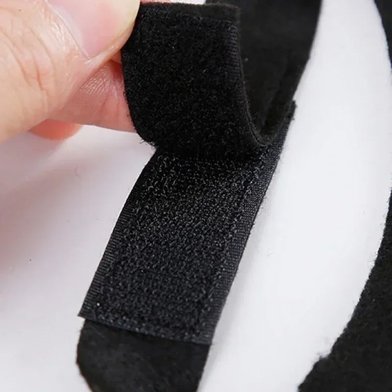 Cat Bat Wings Carrier Costume