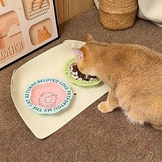 Cat/Dog Anti Spill Placemat Waterproof