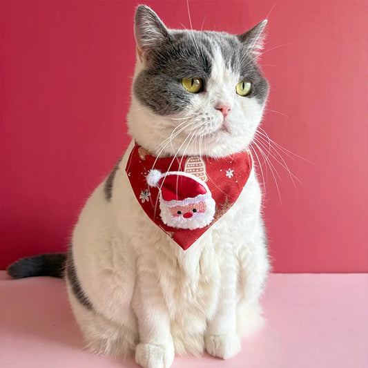 Kitty Christmas Collar