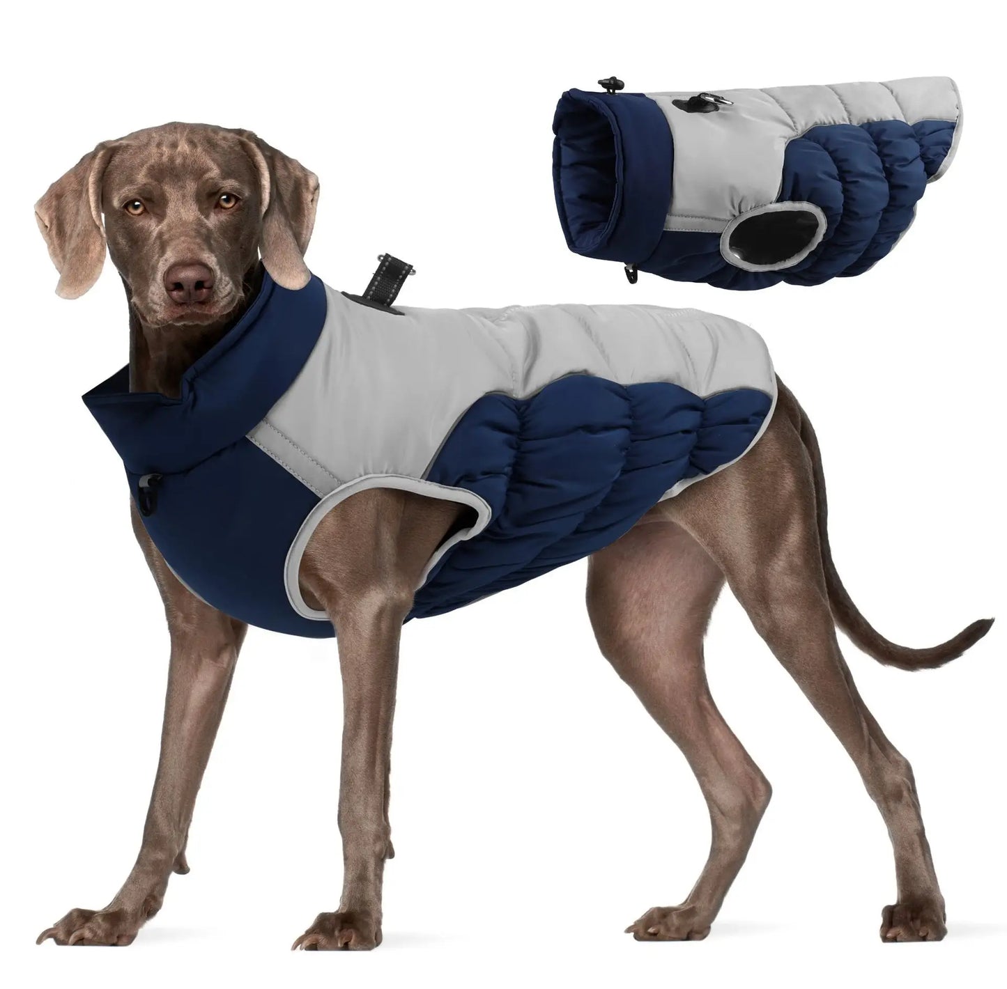 Premium Dog Jacket for Winter