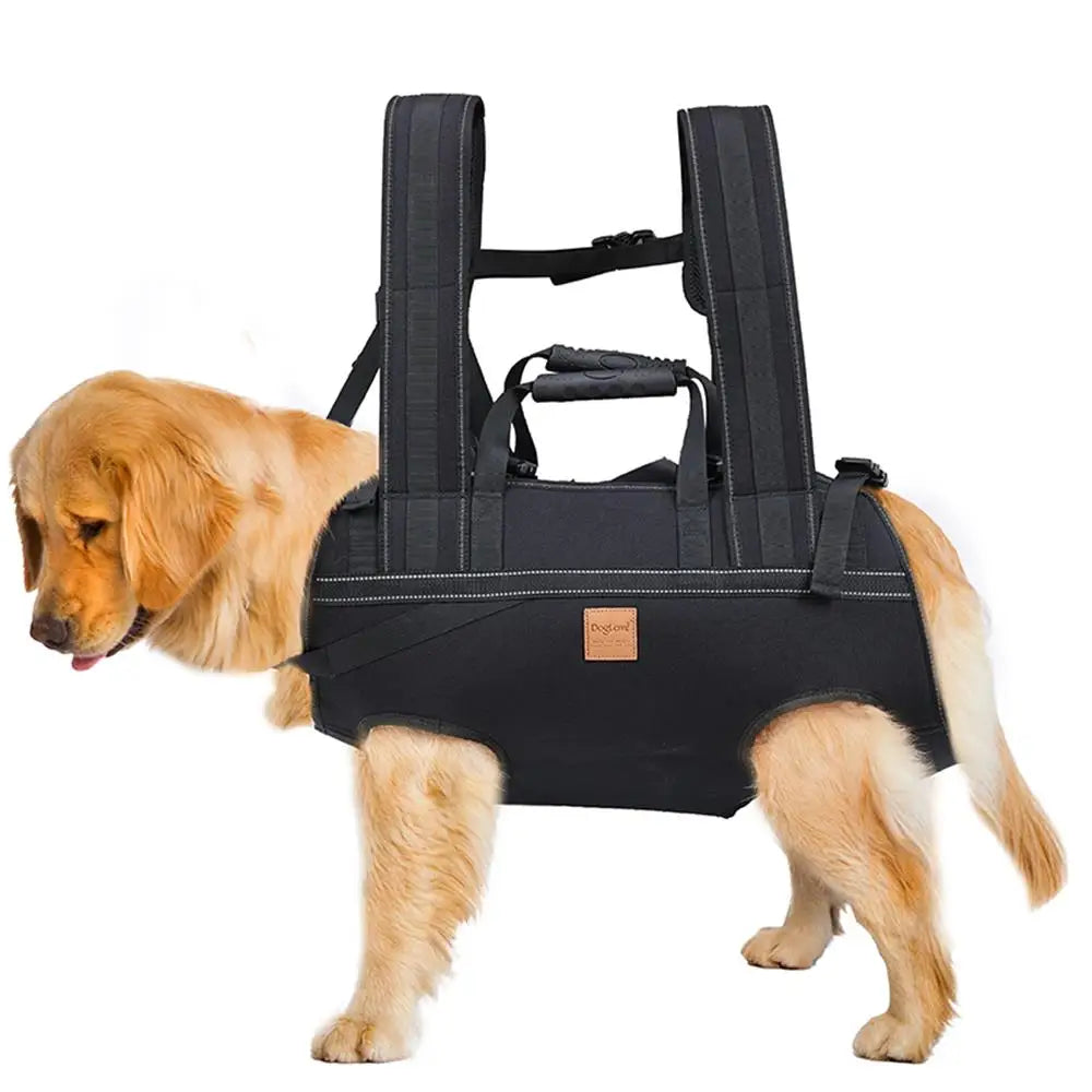 Large Doggy Backpack Carrier