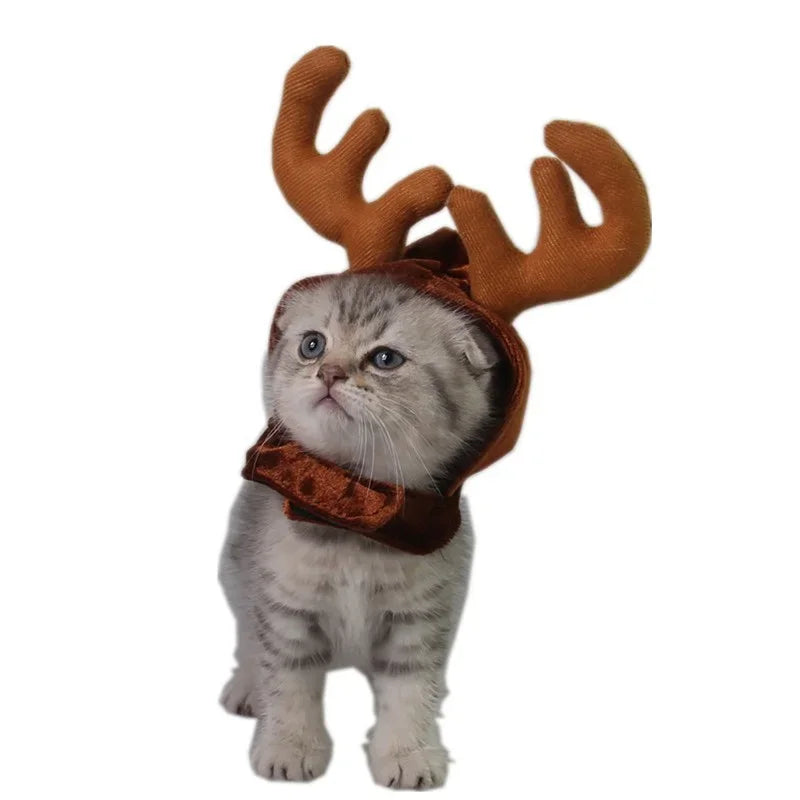 Caat/Dog Christmas Costume