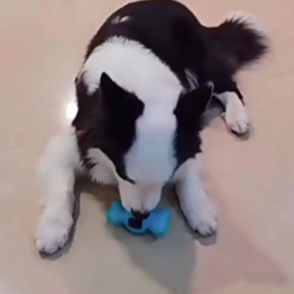 Bite-resistant Pet Chew Toy