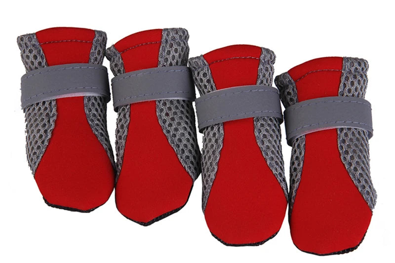 Puppy Outdoor Shoes