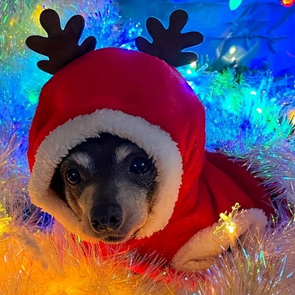 Cheerful Doggy Christmas Costume