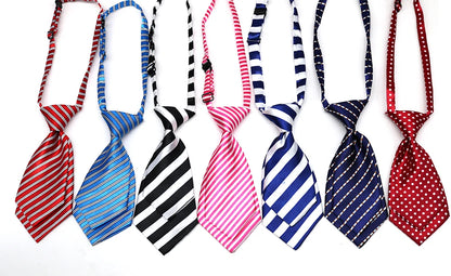 50pc Doggy Neckties