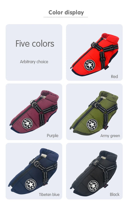 Winter Warm Doggy Jacket with Harness