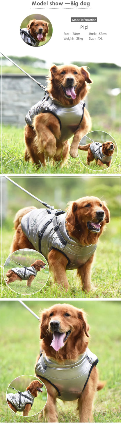 Winter Warm Doggy Jacket with Harness