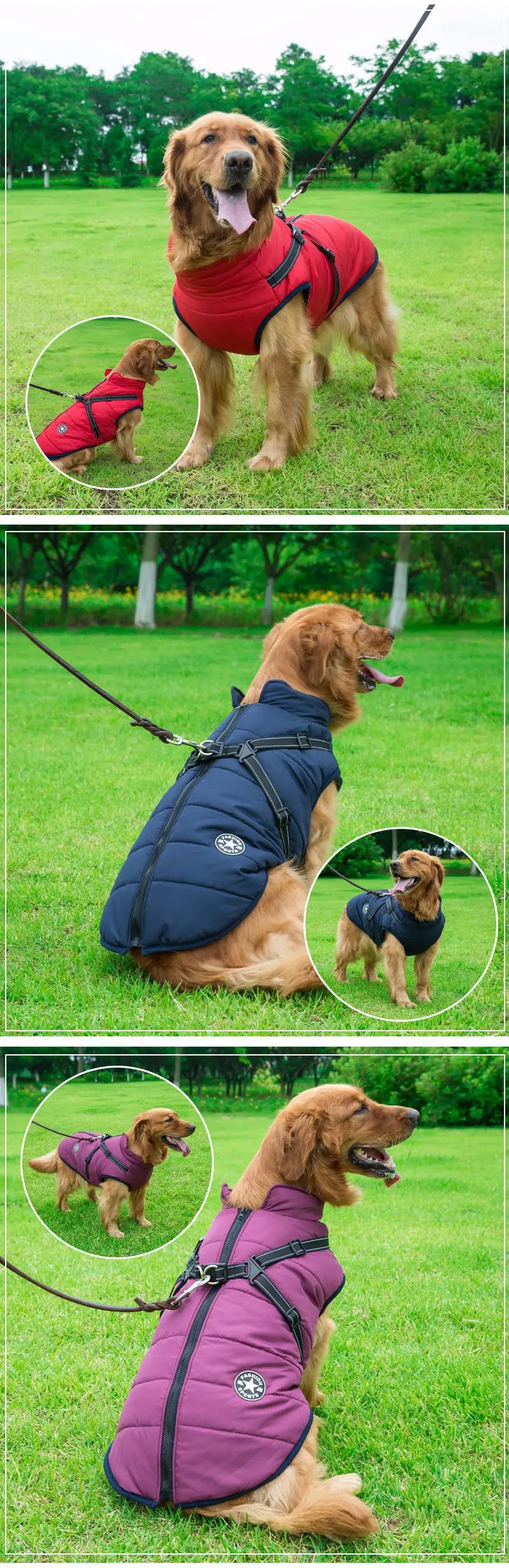 Winter Warm Doggy Jacket with Harness