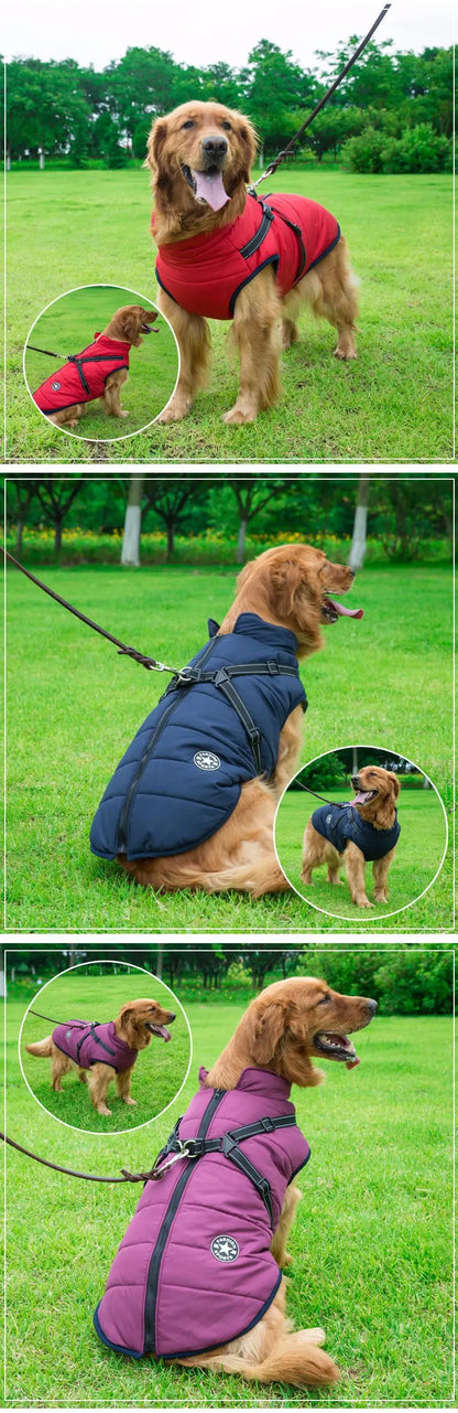 Winter Warm Doggy Jacket with Harness