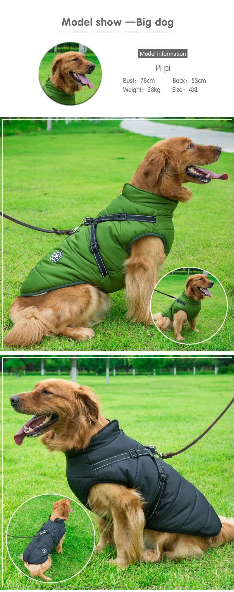 Winter Warm Doggy Jacket with Harness
