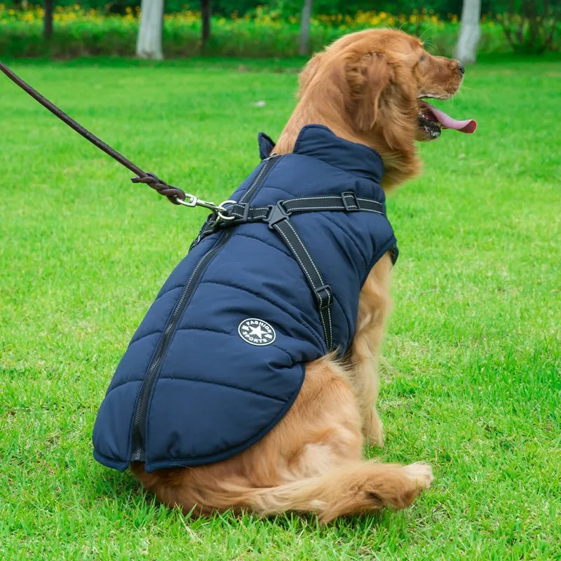 Winter Warm Doggy Jacket with Harness