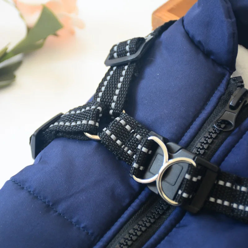 Winter Warm Doggy Jacket with Harness