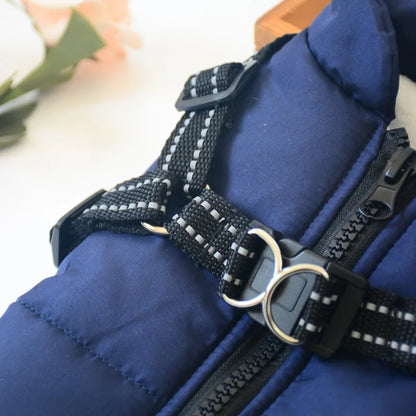 Winter Warm Doggy Jacket with Harness