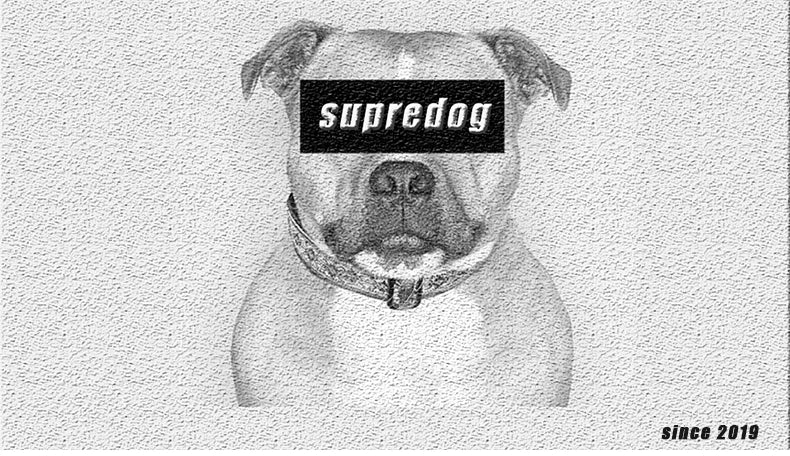 Chicken Leg Puppy Toy