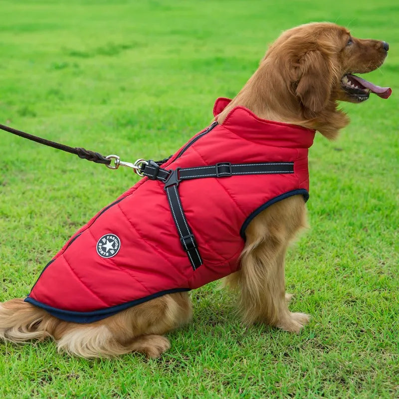 Winter Warm Doggy Jacket with Harness