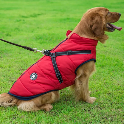 Winter Warm Doggy Jacket with Harness