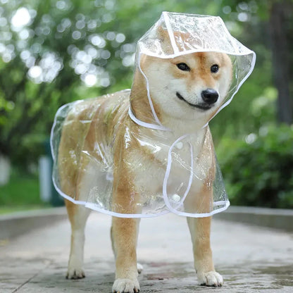 Dog Raincoat