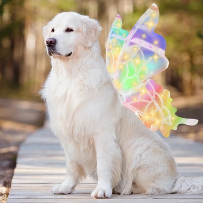 Doggy Butterfly Wings