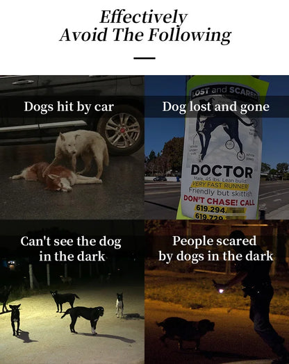 Rechargeable Waterproof Doggy LED Harness