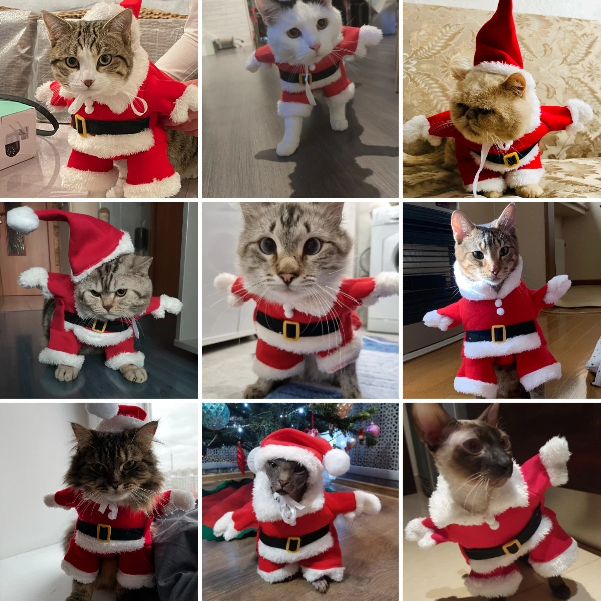 Funny Kitty Christmas Costume