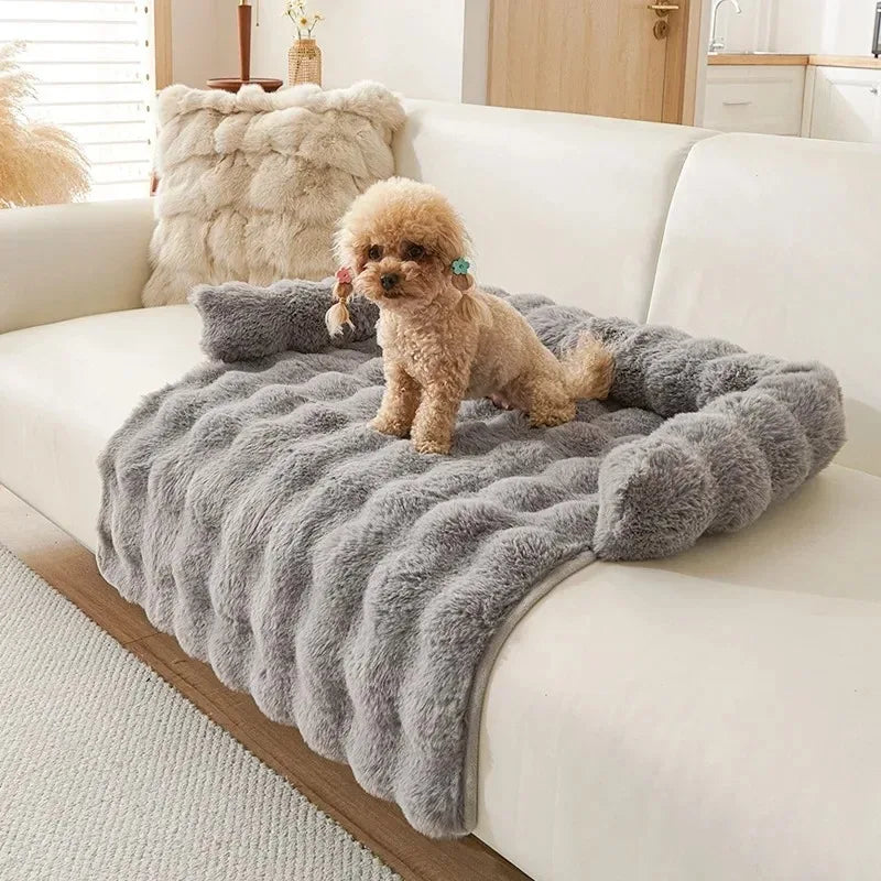 Doggy Lounge Bed