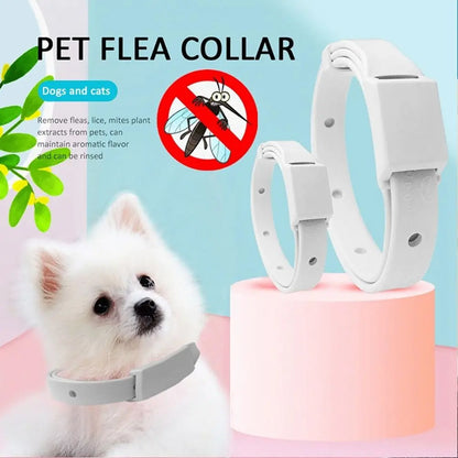 Cat/Dog Anti Flea Collar
