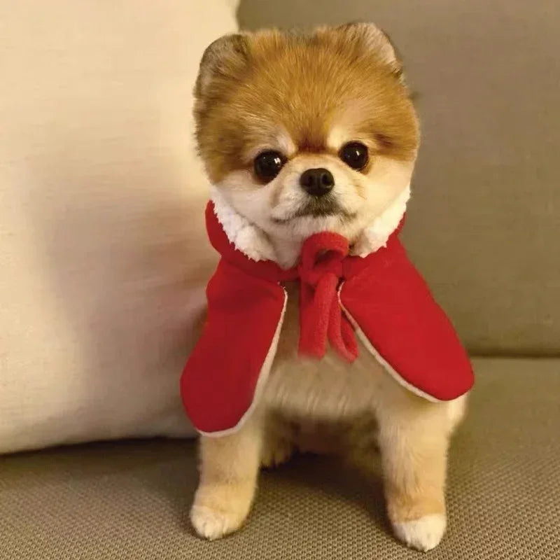 Kitty Christmas Cape