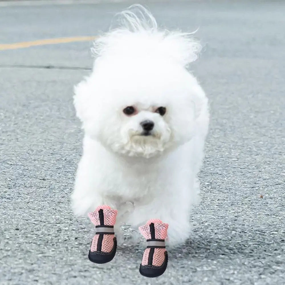 Soft Dog Mesh Shoes