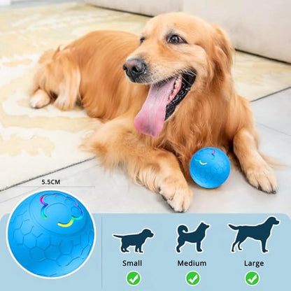 Electric LED Interactive Dog Toy