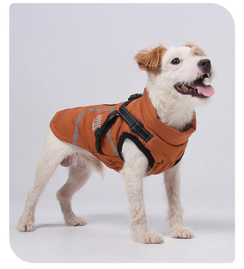 Premium All-Weather Dog Jacket with Harness