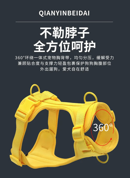 Dog Harness and Leash