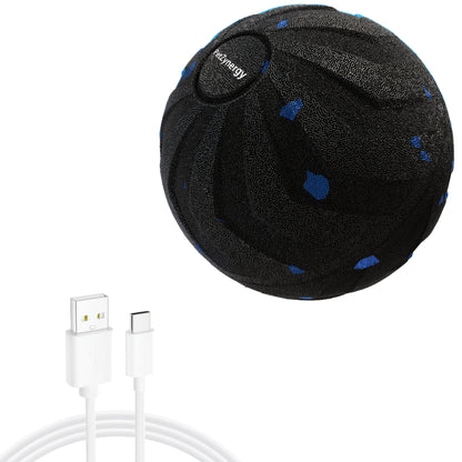 Smart Interactive Dog Toy