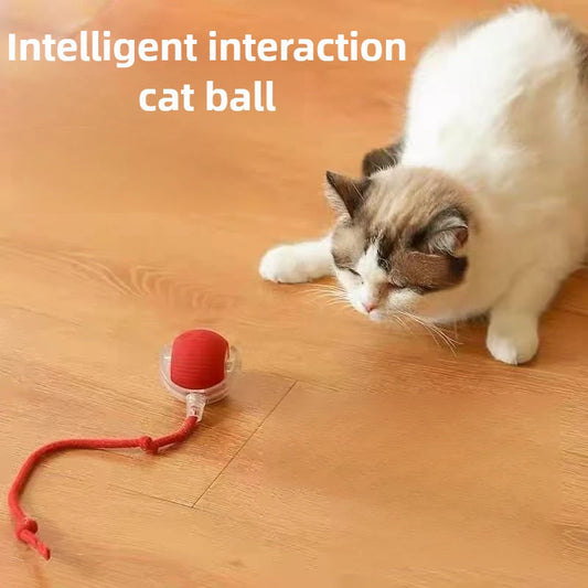 Rechargeable Cat/Dog Toy