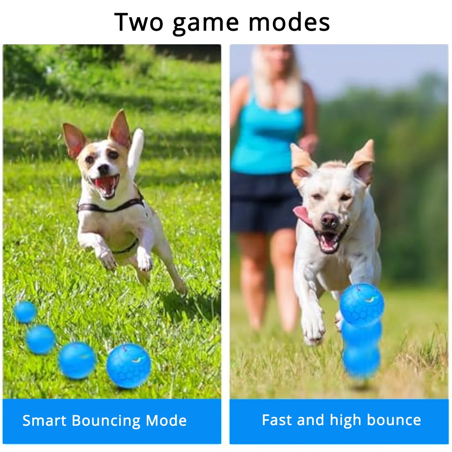 Electric LED Interactive Dog Toy