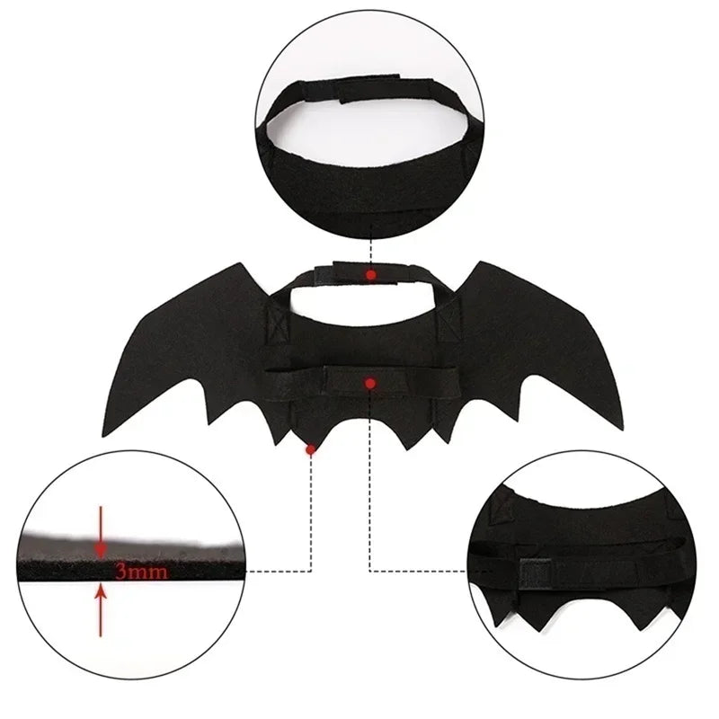Cat Bat Wings Carrier Costume
