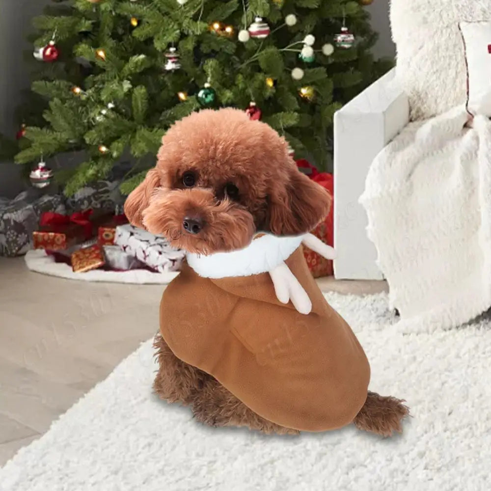 Christmas Cat Hooded Outfit