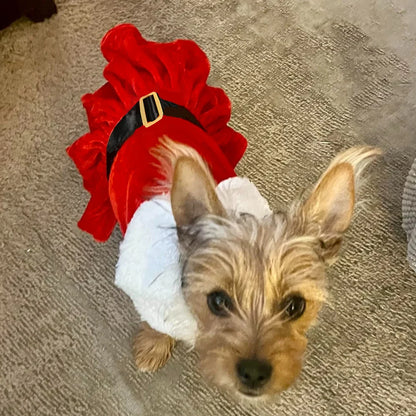 Santa Costume