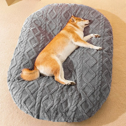 Dog Bed