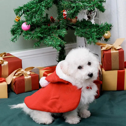 Christmas Cat Hooded Outfit