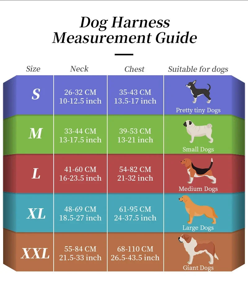 Rechargeable Waterproof Doggy LED Harness