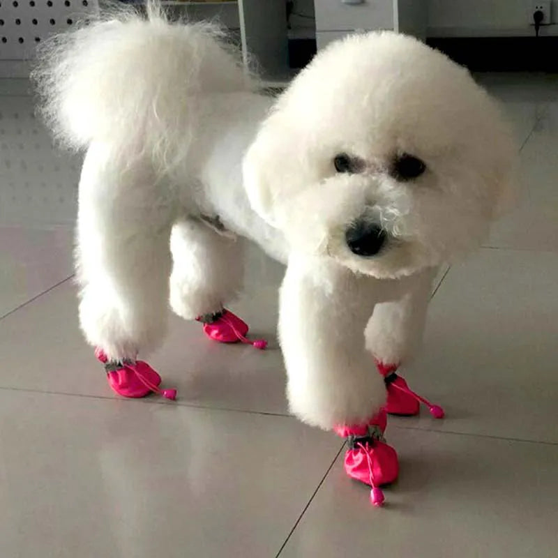 Antiskid Puppy Shoes