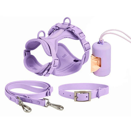 Dog Harness and Leash