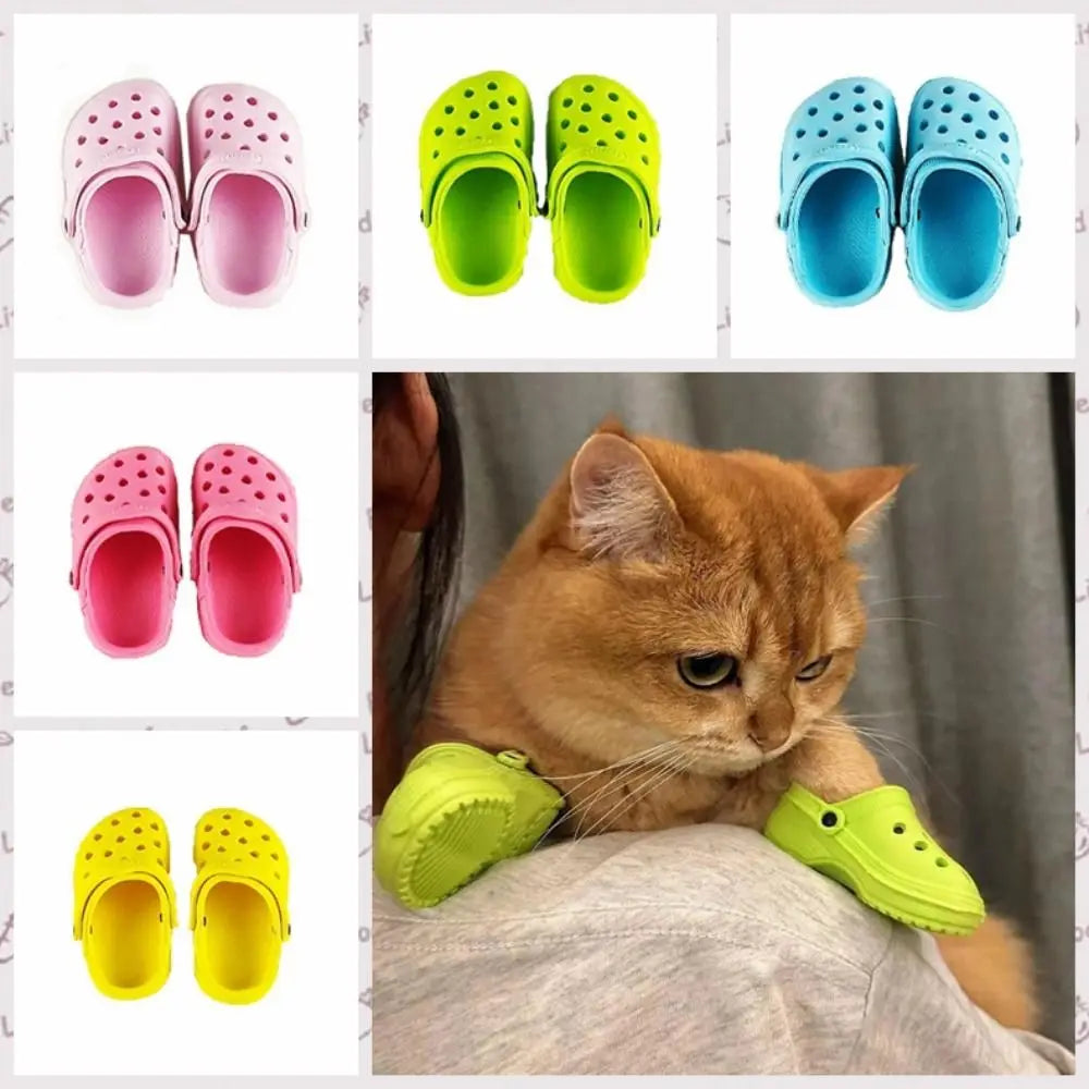 Doggy Crocs