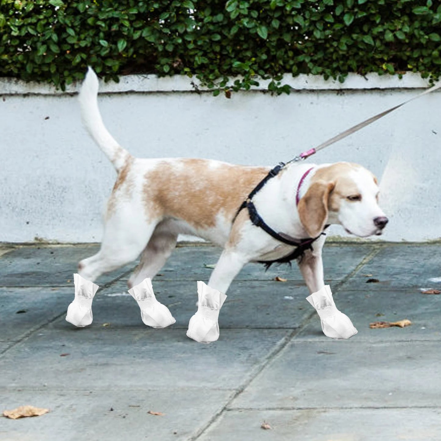 4Pc Disposable Dog Boots