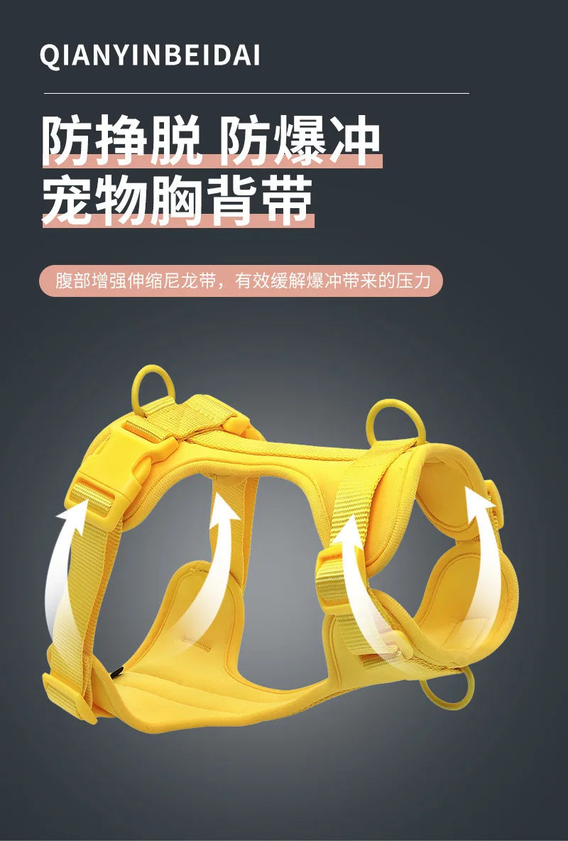 Dog Harness and Leash