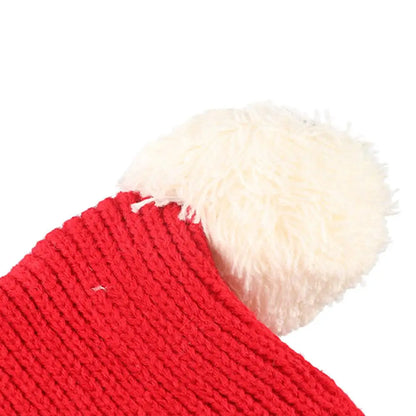 Dog/Cat Xmas Hat