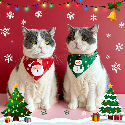 Kitty Christmas Collar